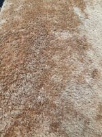 تدی پدینگتون قهوه ای - تصویر 5